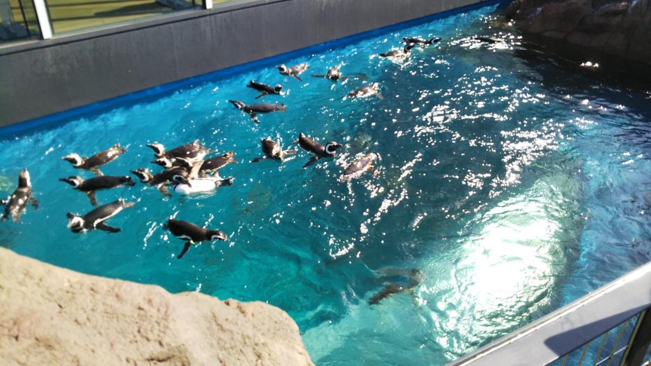 Oyo Joetsu City Hotel Kasugayama Eksteriør billede